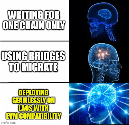 LAOS community meme