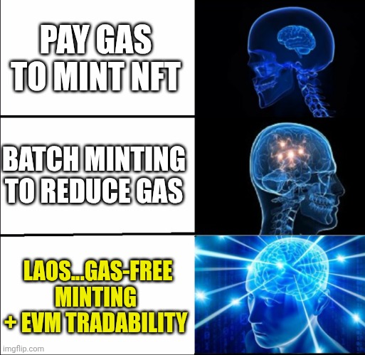 LAOS community meme